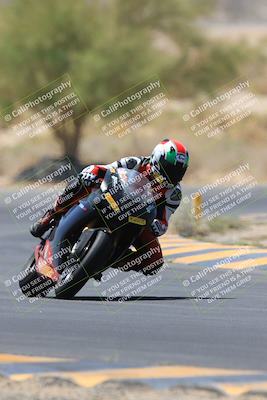 media/May-14-2023-SoCal Trackdays (Sun) [[024eb53b40]]/Turn 5 Tree of Life (1125am)/